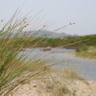 Colori di Sardegna