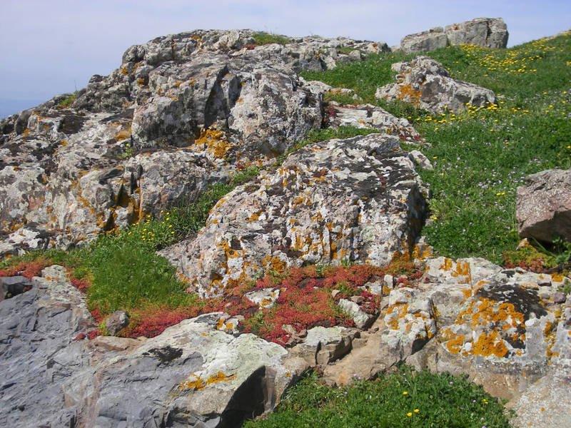 colori di Sardegna