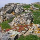 colori di Sardegna