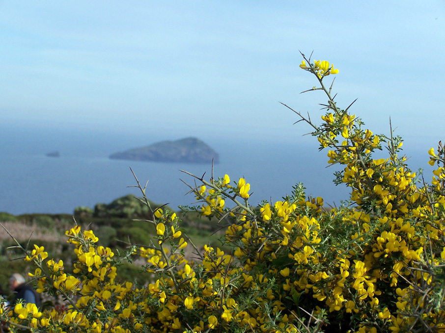 colori di sardegna