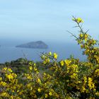 colori di sardegna