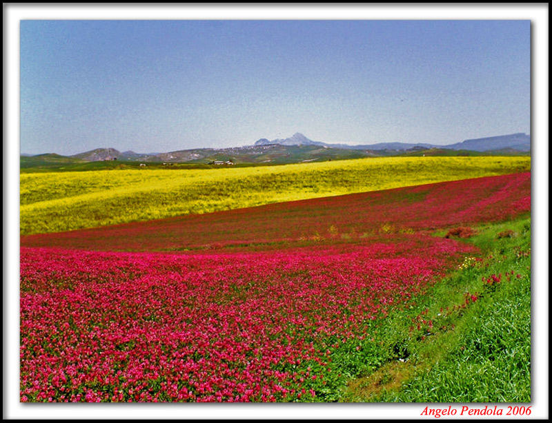 Colori di Sicilia