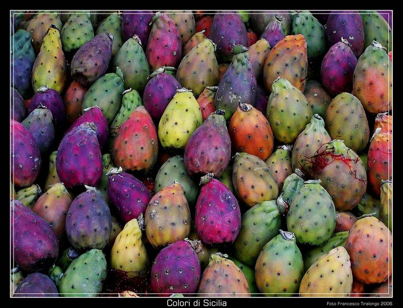 Colori di Sicilia