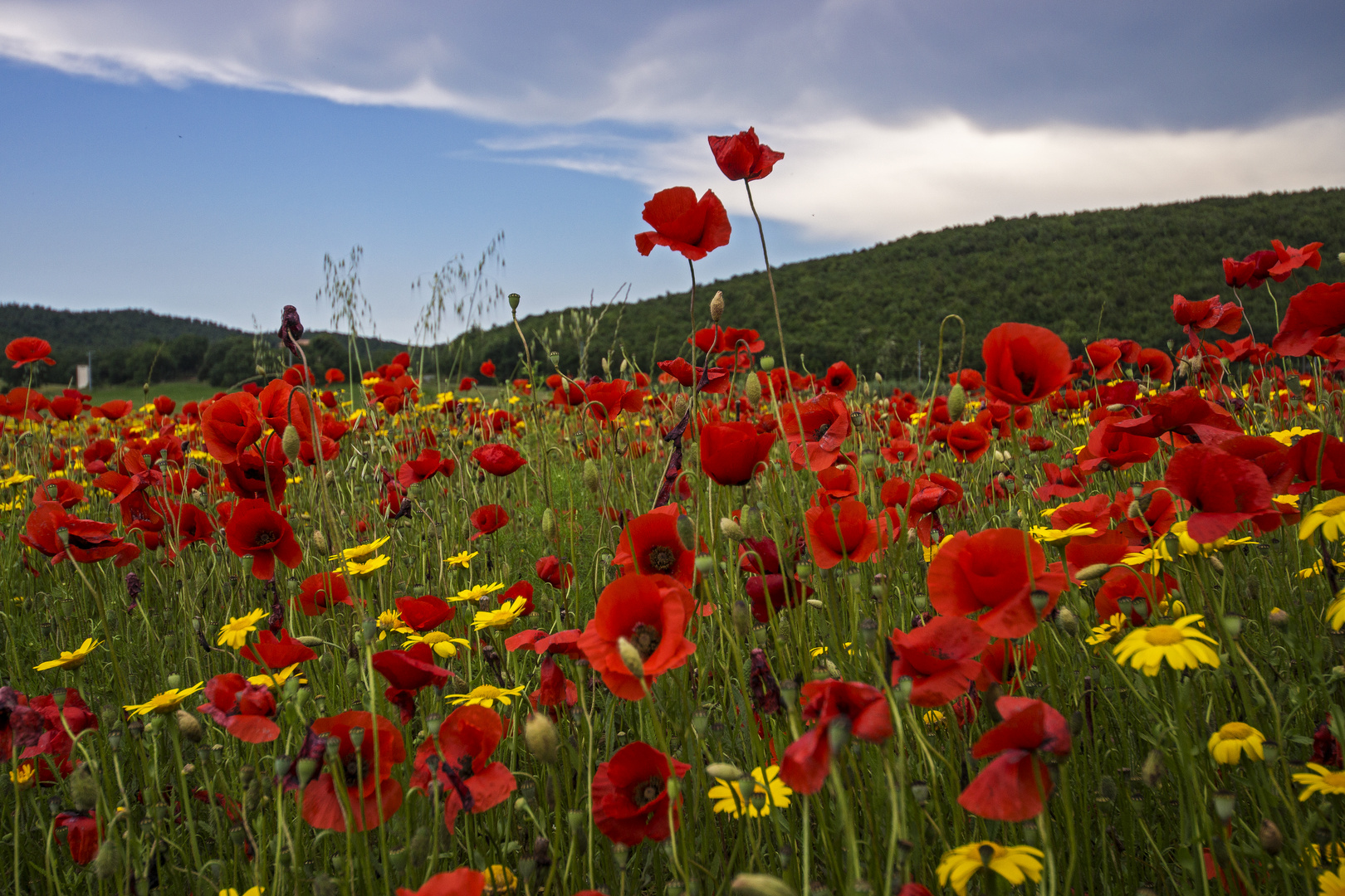 Colori di stagione