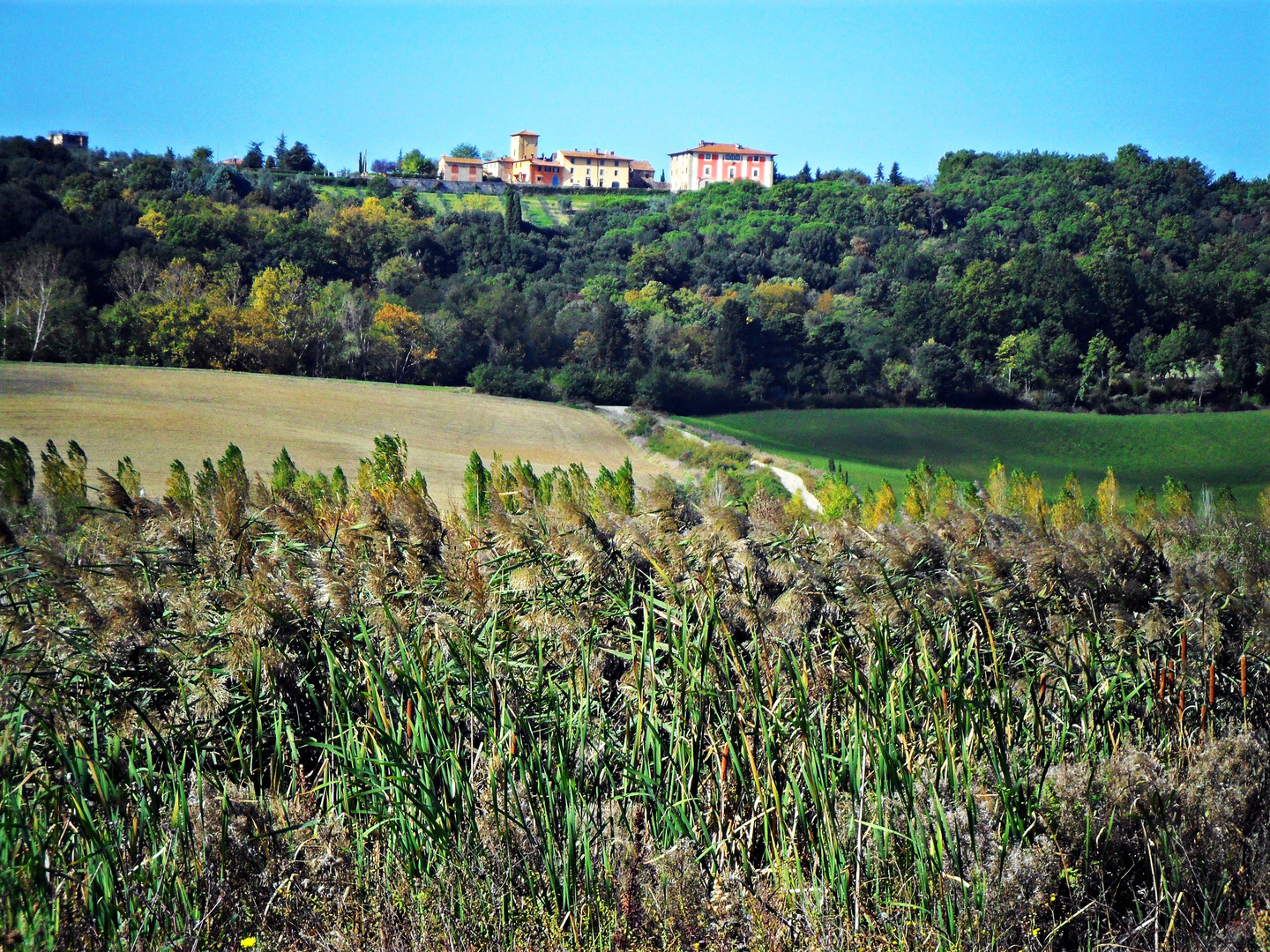 colori di Toscana 1