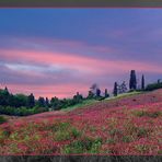 Colori di Toscana - Arbia