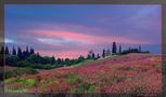 Colori di Toscana - Arbia von alfonso della 