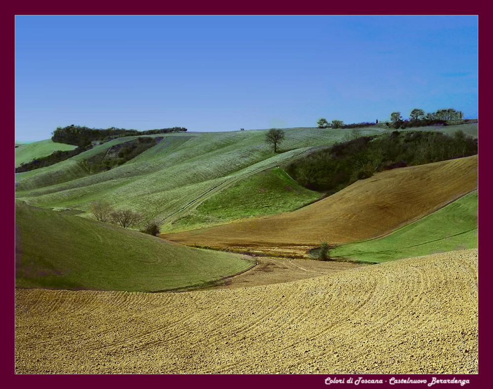 Colori di Toscana - Castenuovo Berardenga