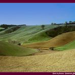 Colori di Toscana - Castenuovo Berardenga