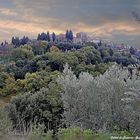 Colori di Toscana - S. Angelo in Colle (Montalcino)