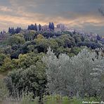 Colori di Toscana - S. Angelo in Colle (Montalcino)