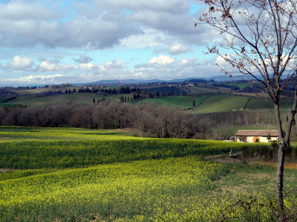 Colori di Toscana - Ultime nuvole