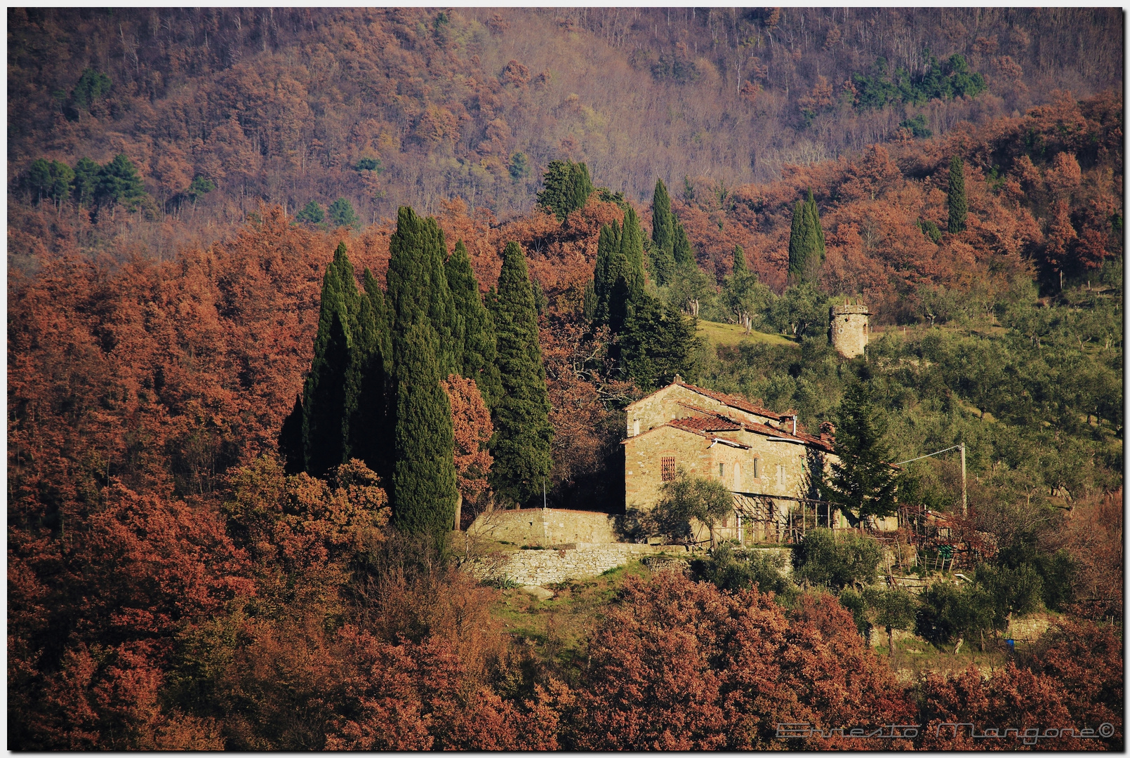 Colori d'inverno