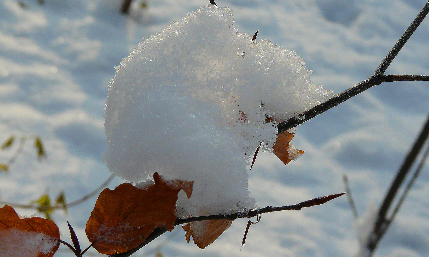 Colori d'inverno