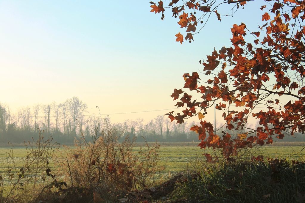 colori d'inverno