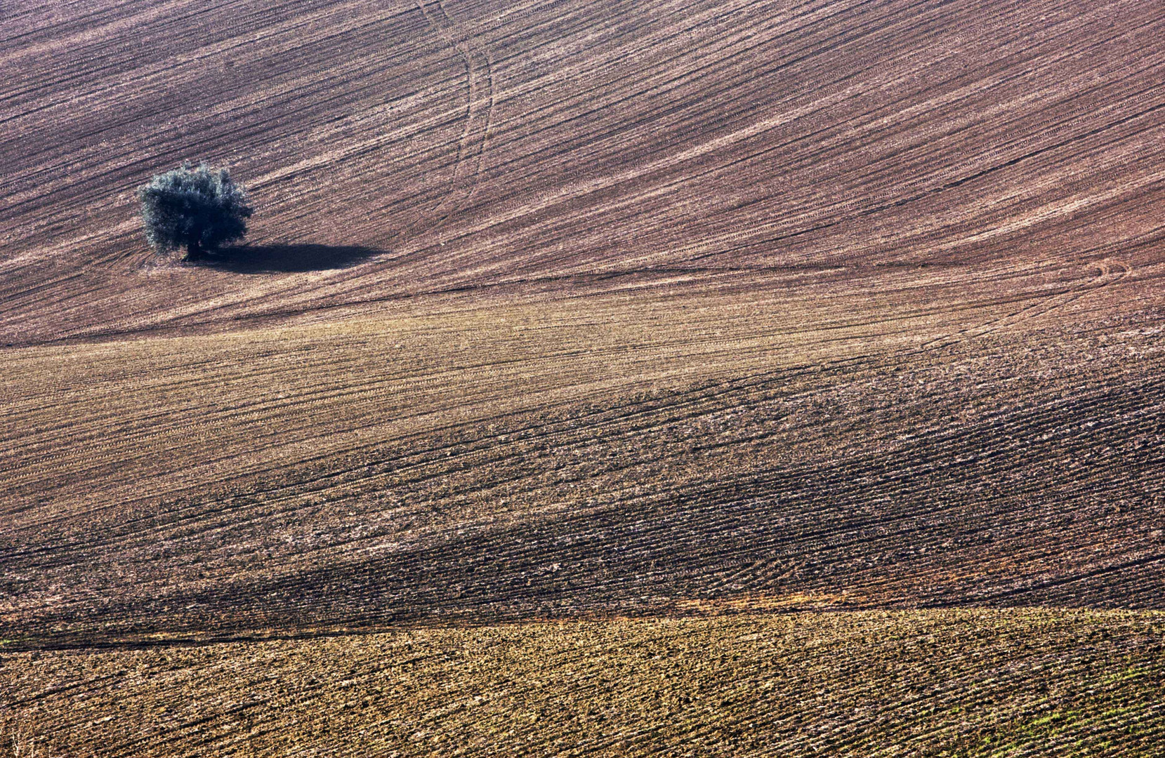 Colori d'inverno