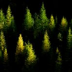 Colori e luci di ottobre
