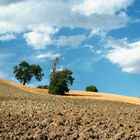 Colori e profumi di agosto.