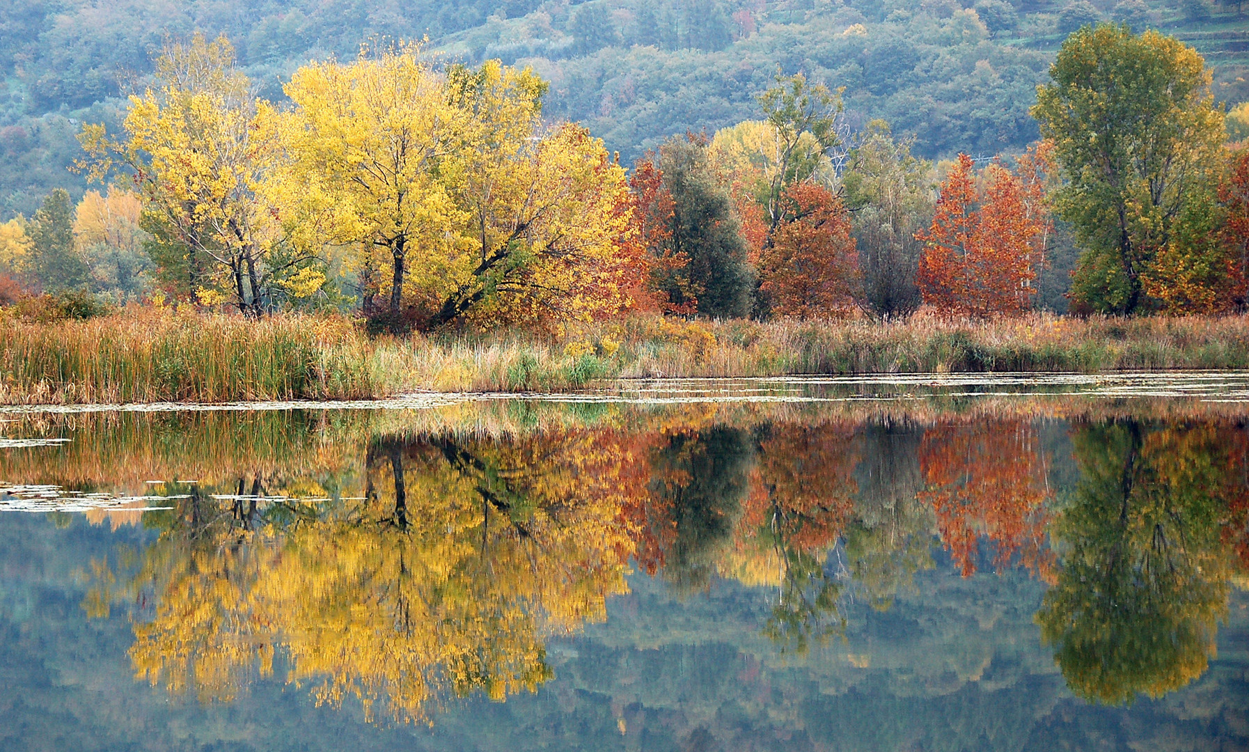 colori e riflessi 3