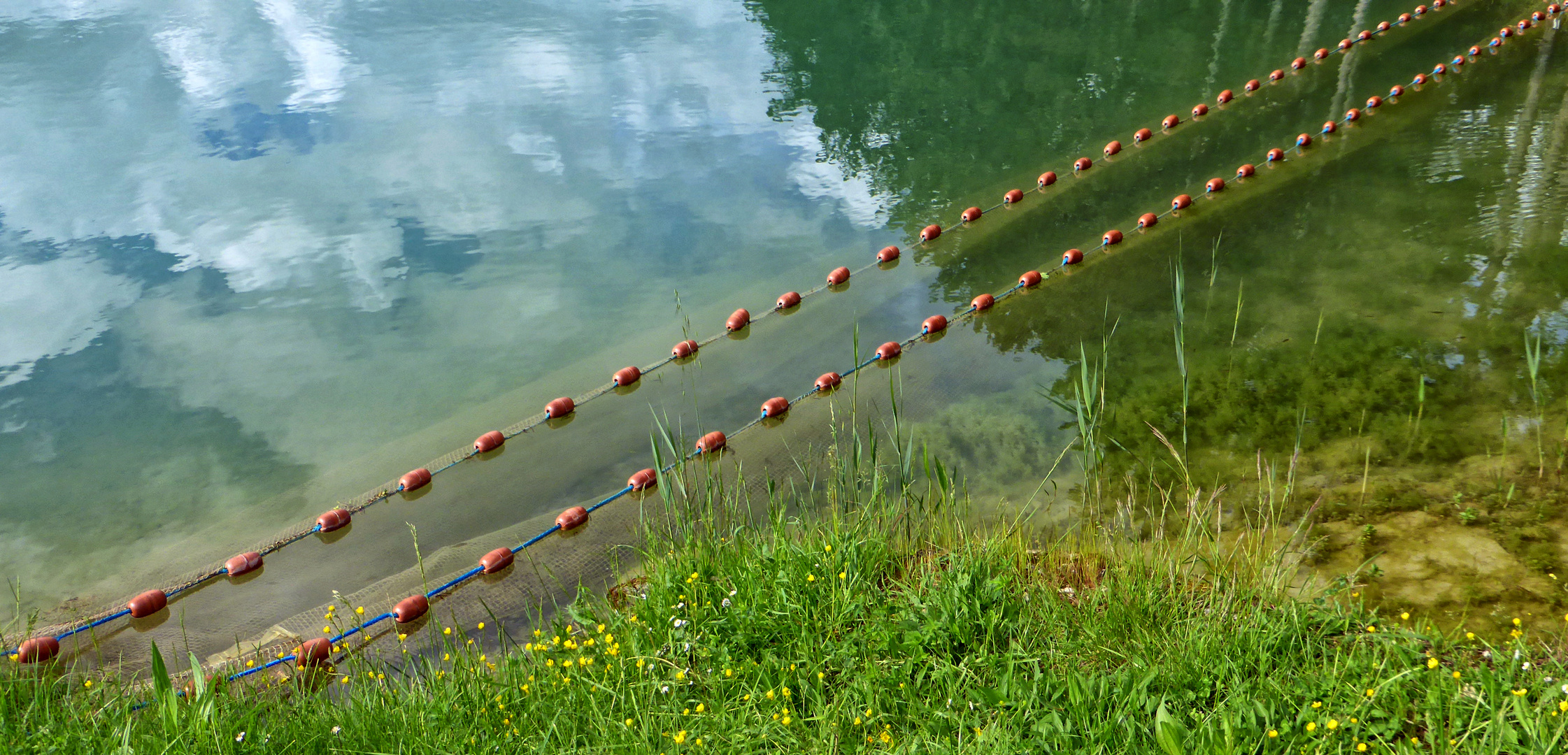 colori e riflessi 