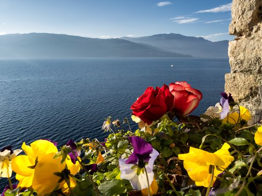 Colori e sole invernale