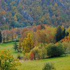 Colori in autunno