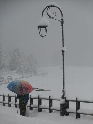 Colori  in bianco e nero