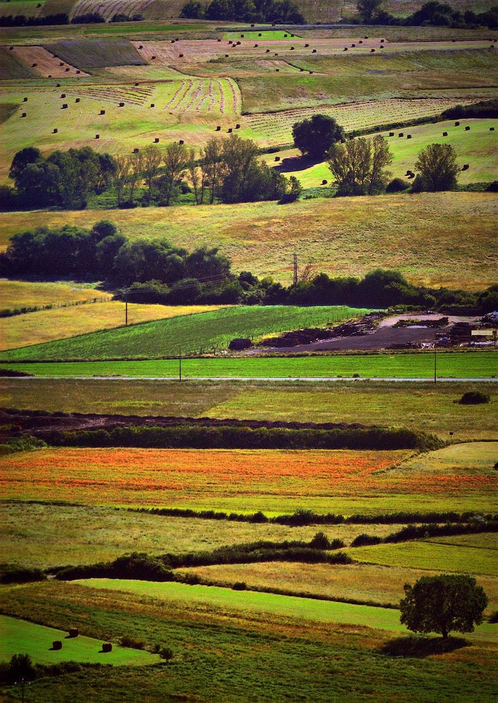 Colori in campagna