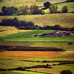 Colori in campagna