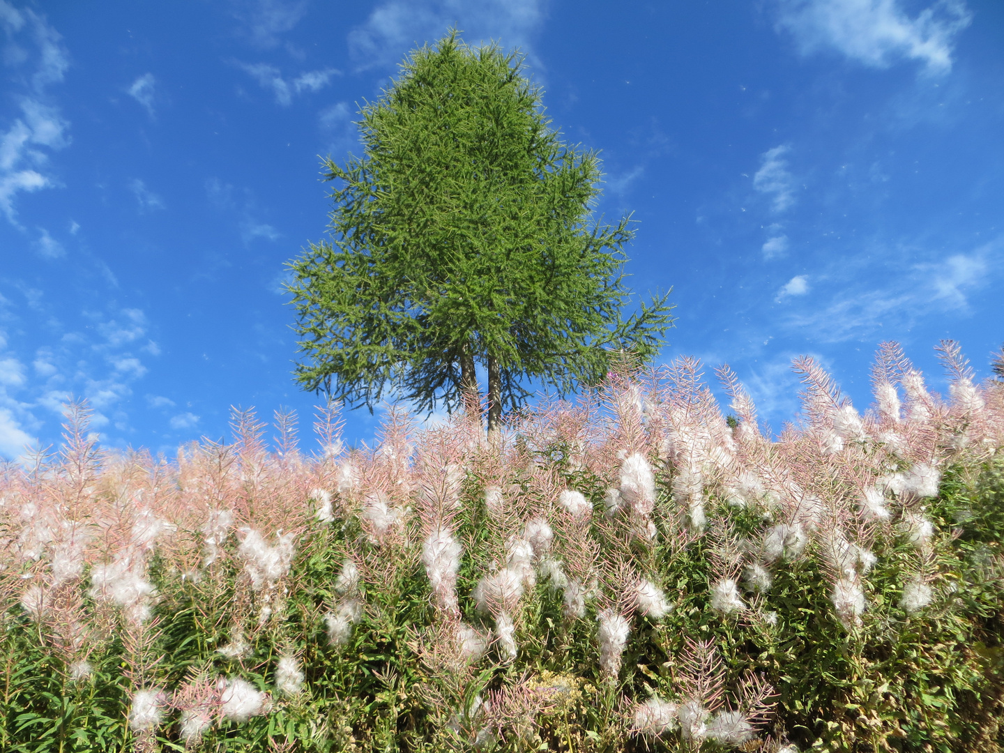 Colori in montagna  