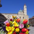 COLORI IN PIAZZA