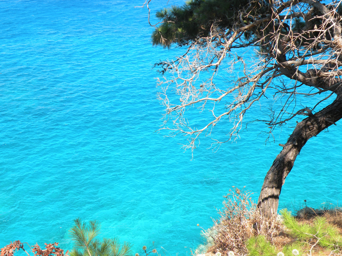 colori intensi a Karpathos