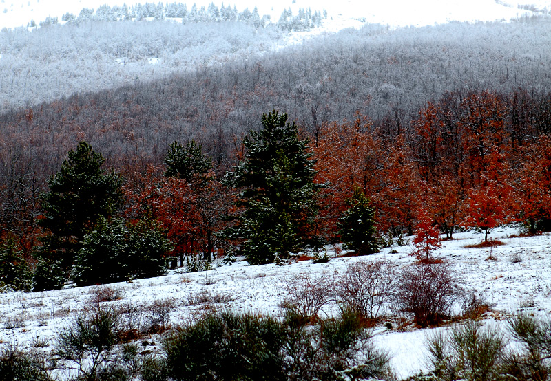 Colori montani