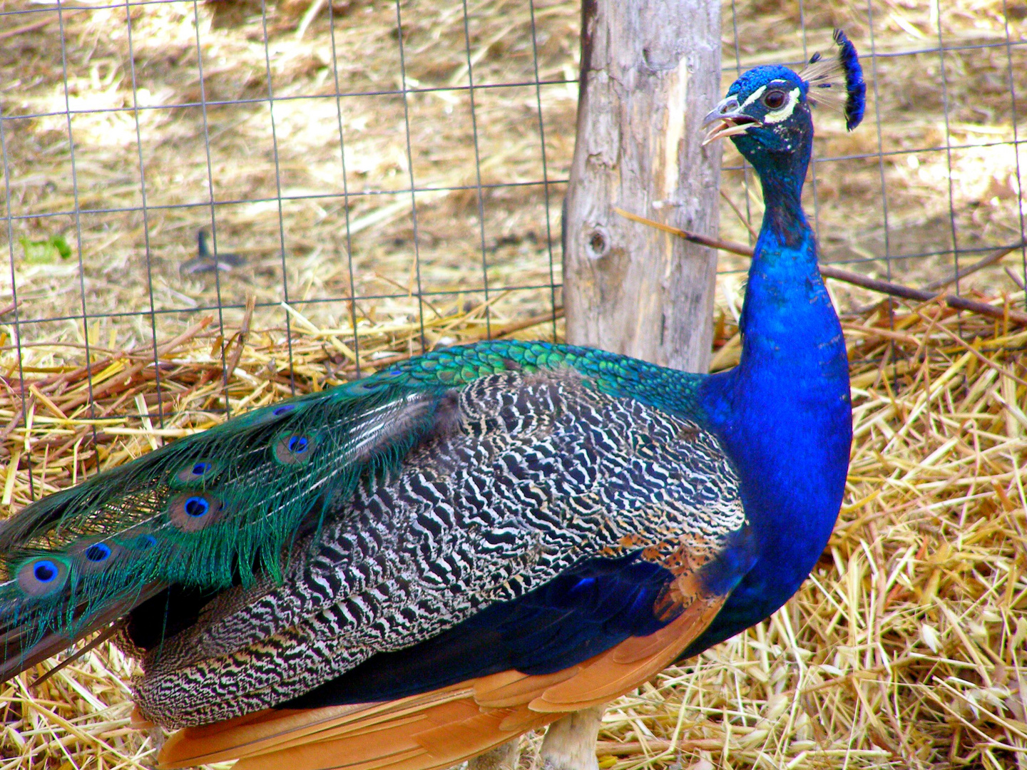 colori naturali