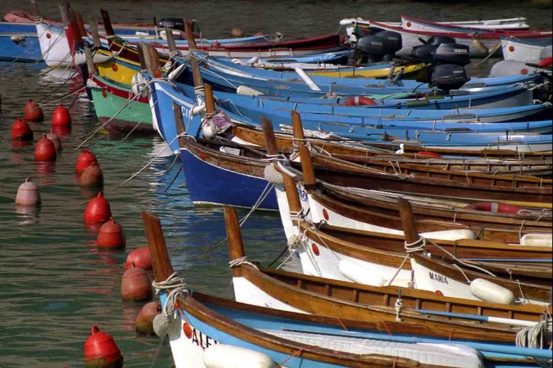 colori nel mare di Julio Cesar Berisso