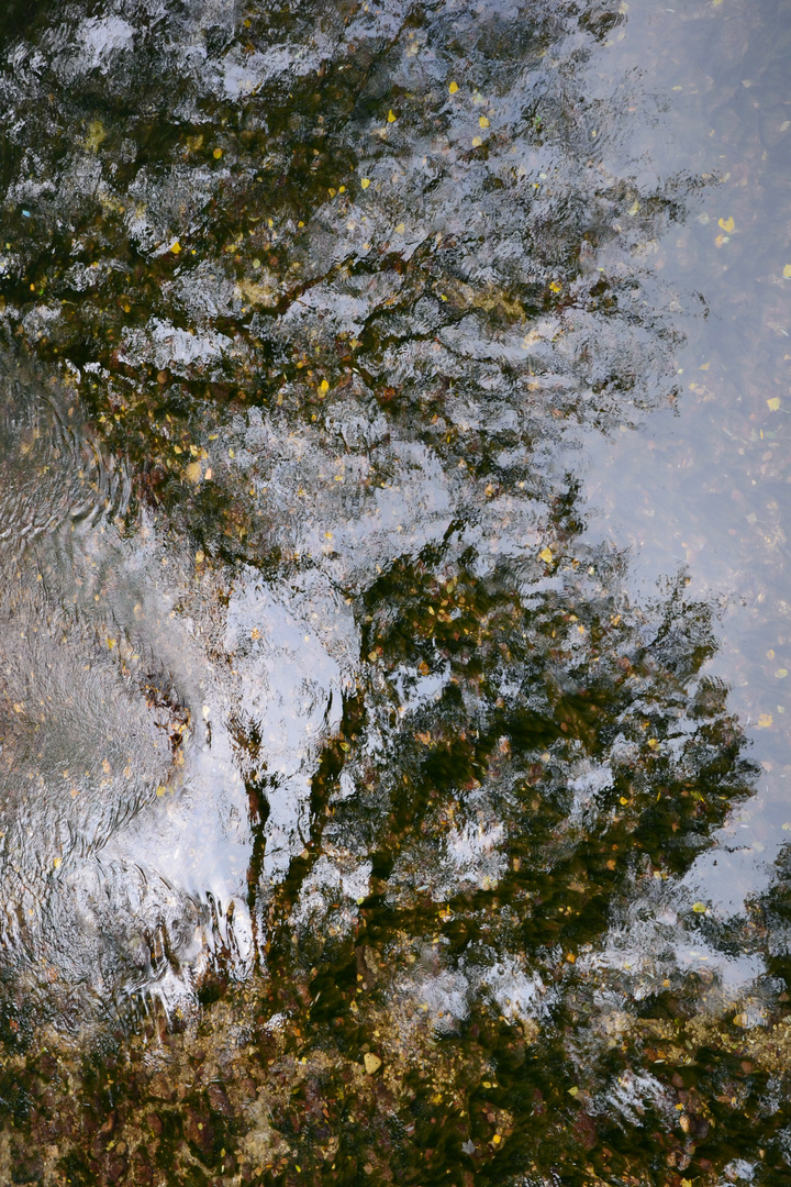 Colori nell'Acqua