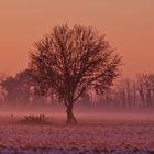 colori pastello in inverno