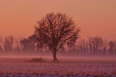 colori pastello in inverno