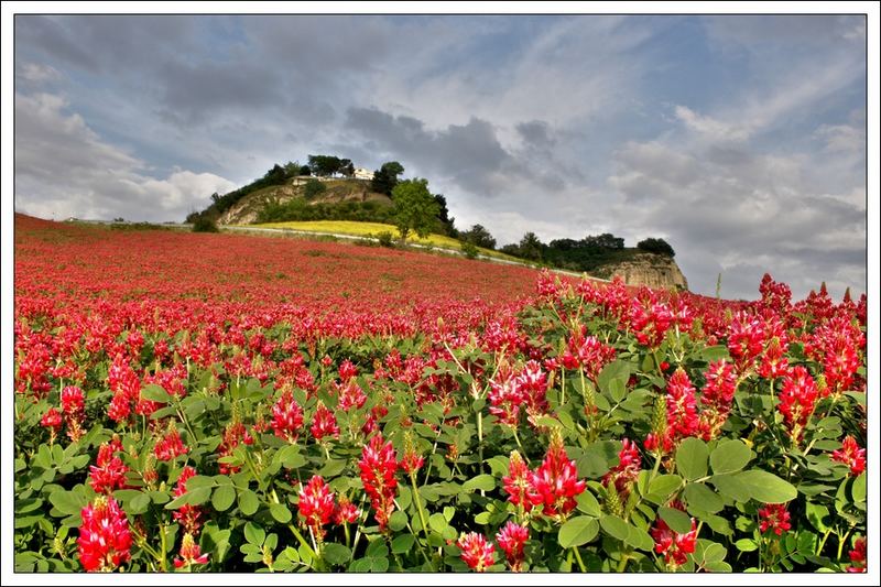 Colori primaverili