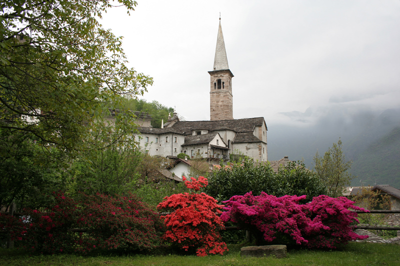 Colori tra la nebbia