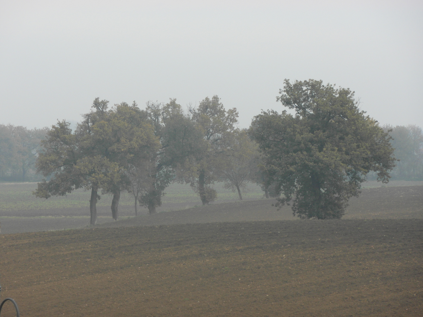 colori tra l'autunno e l' inverno...