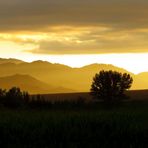 Colorido y con aromas de campo