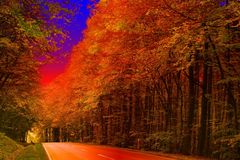 Colorierter Herbst I