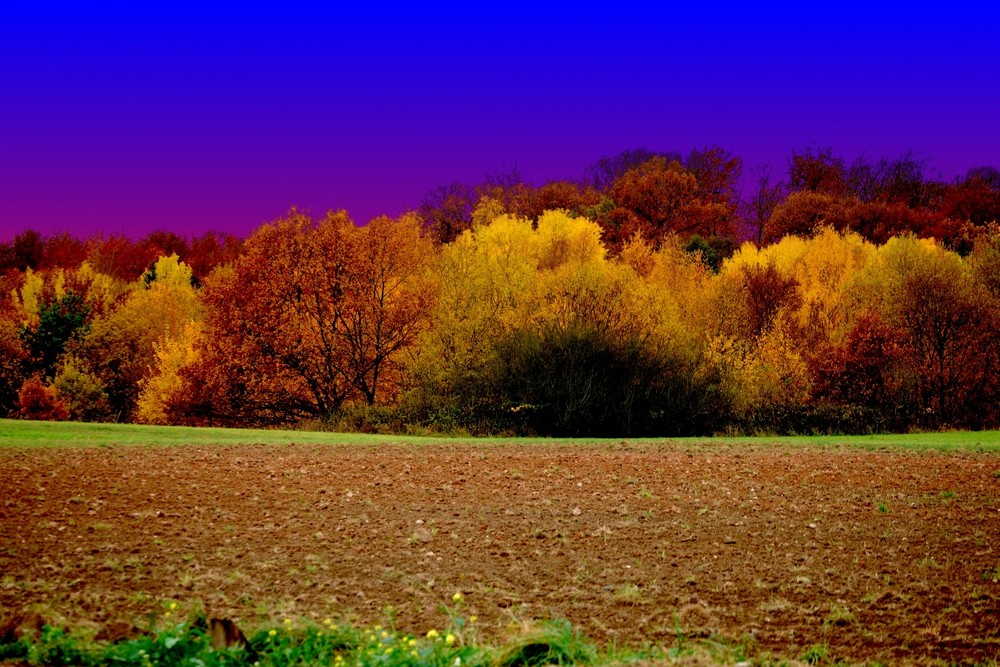 Colorierter Herbst III