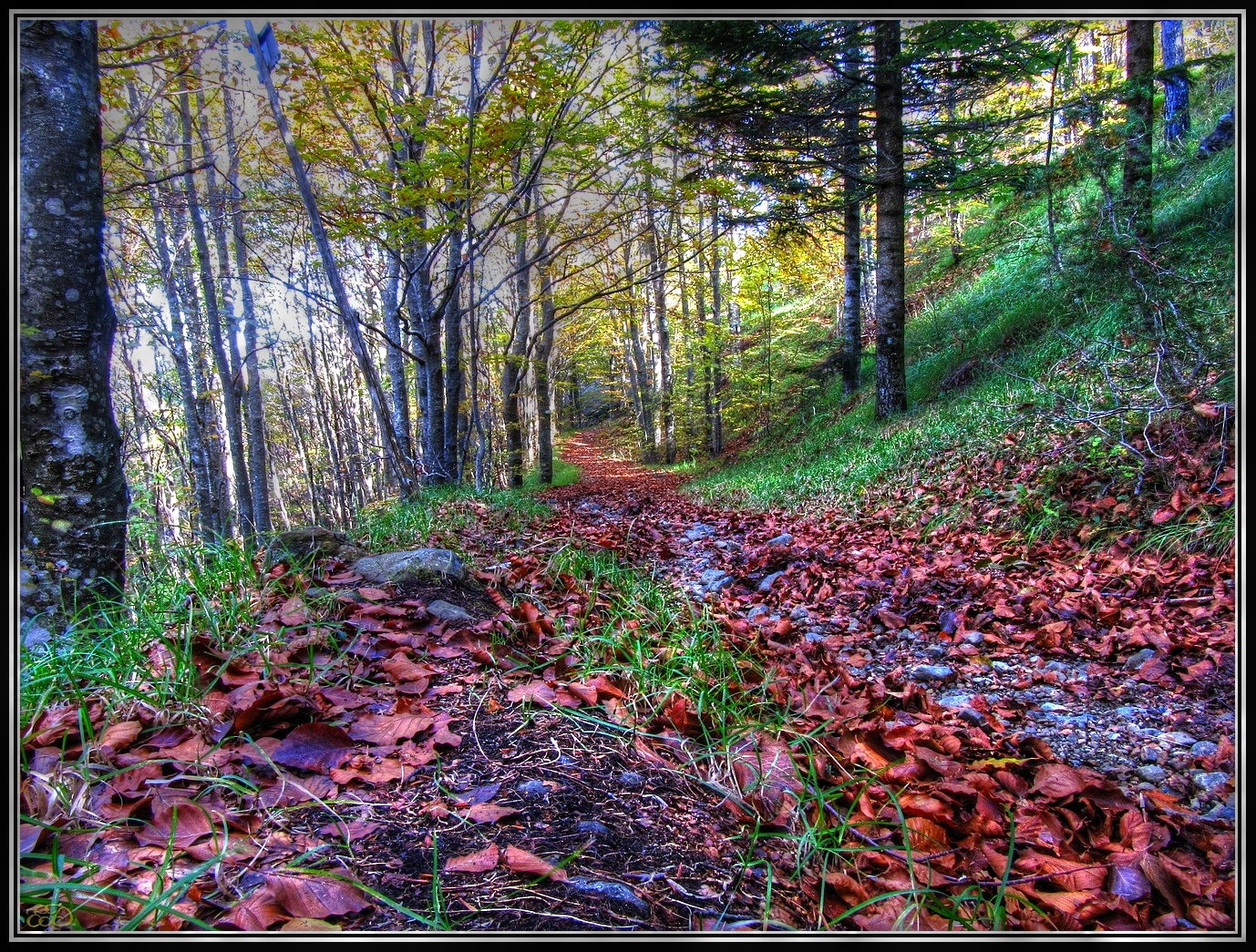 Colori...esasperati