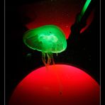 color~jellyfish~2