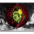 Colorkey - Collage -  Die Blüten nah dem Apfelbaum