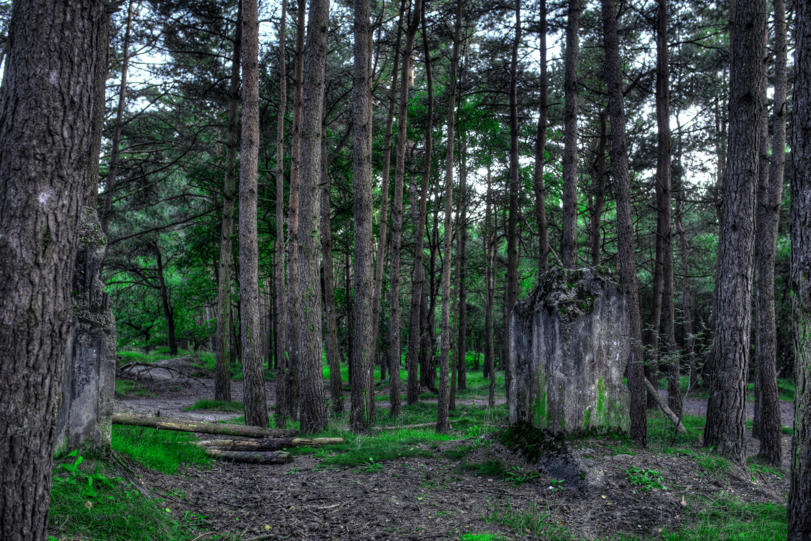 Colorkey Forest HDR