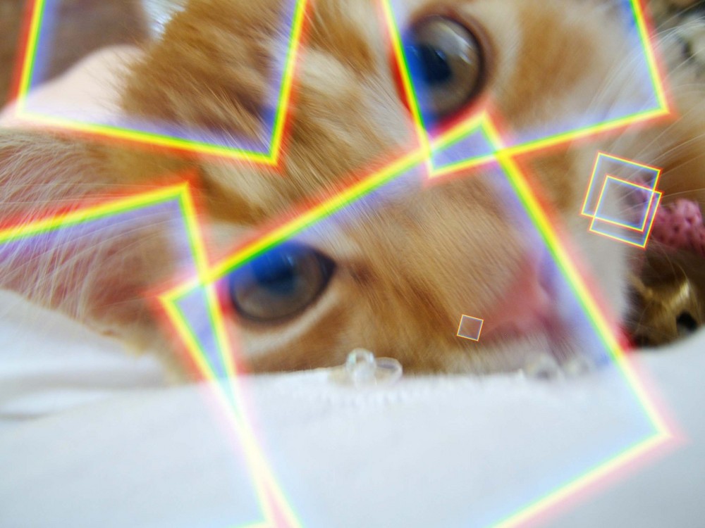 COLORKITTY...