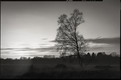colorless • lands 5.0